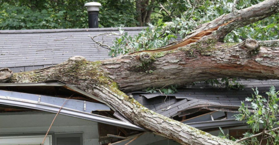 Tree fallen on house after a storm in Repentigny. It will be removed by Emondage Repentigny.