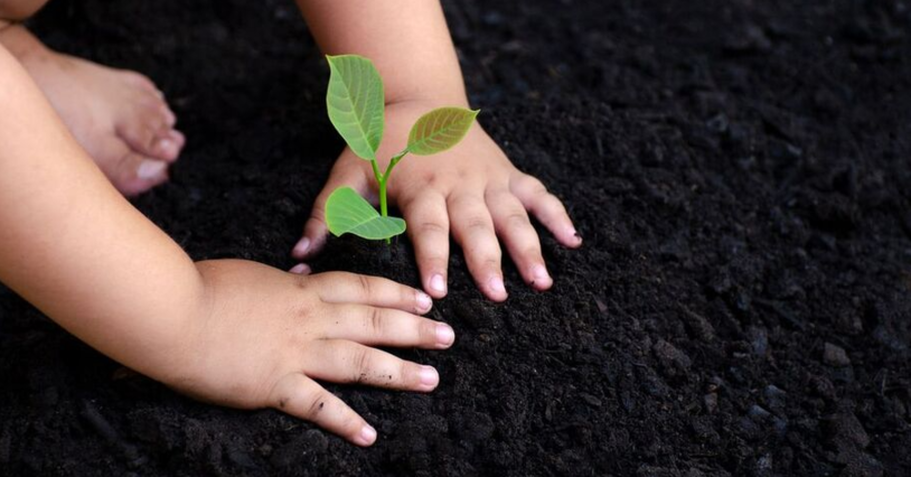 Child in Repentigny planting a young tree.