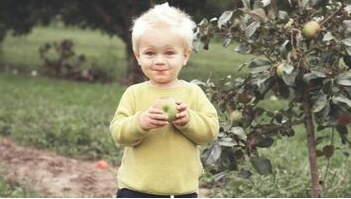 Child in Repentigny eating an apple from an apple tree planted by Emondage Repentigny.
